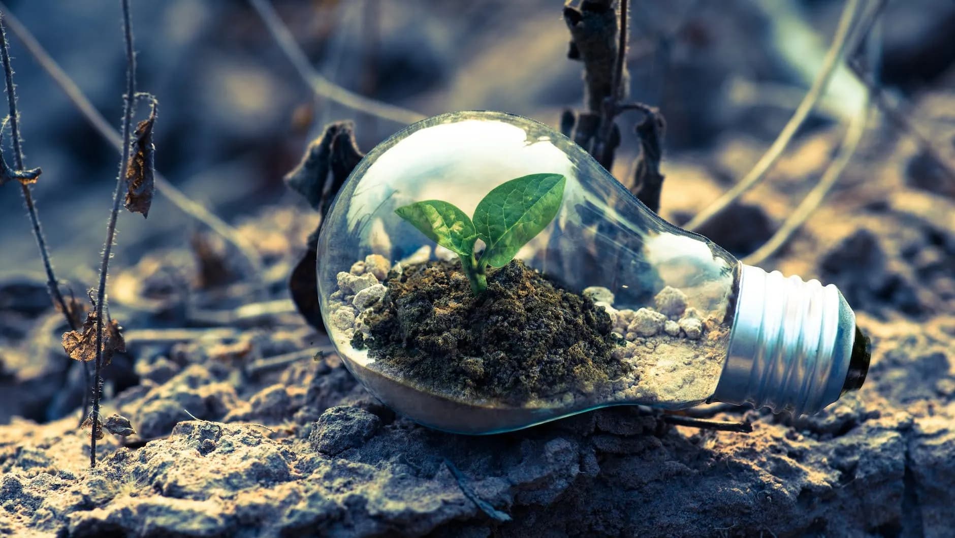 Our Vision and Missionpicture